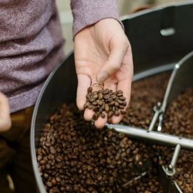 	Classification of roasted coffee on the market
