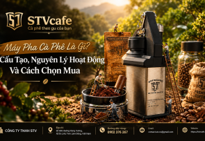 Máy Pha Cà Phê Là Gì? Cấu Tạo, Nguyên Lý Hoạt Động Và Cách Chọn Mua